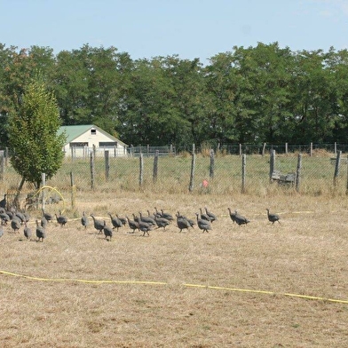 Délices de nos Campagnes