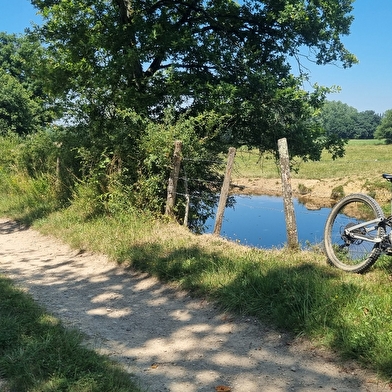 Circuit VTT-VTC n°12 (rouge) - Sur Reyssouze, les hauts de St Jean