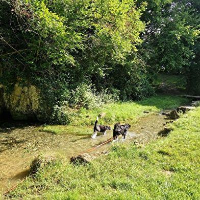 Aire de pique-nique de la source