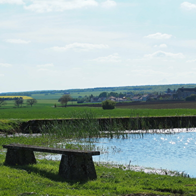 Fontaine Saint-Bénigne