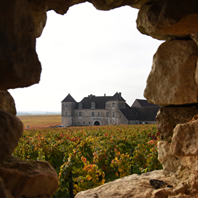 Prestigieuse Côte de Nuits