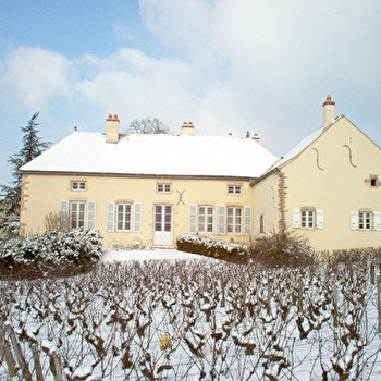 Domaine de la Monette - MERCUREY