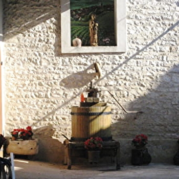 Sorin Coquard - SAINT-BRIS-LE-VINEUX