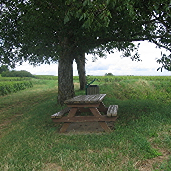 Aire de pique-nique des Lavières - SAVIGNY-LES-BEAUNE