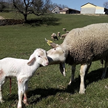 La Ferme de la Demoiselle - AUGISEY