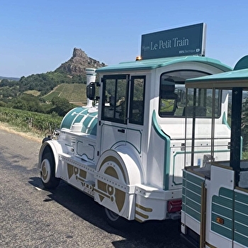 Sortie vers la Roche de Solutré en petit train - MACON