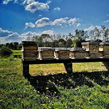 Les Abeilles du Paquis - RECHESY