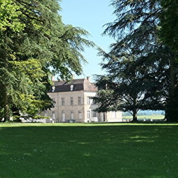 Parc du château de Ray-sur-Saône - RAY-SUR-SAONE