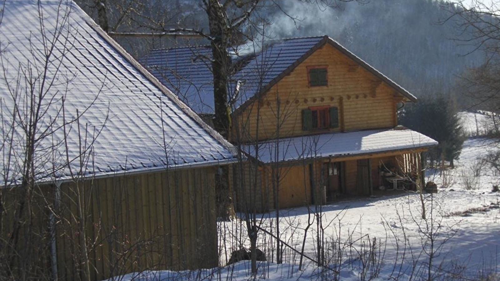 Chalet Scandinave Organique