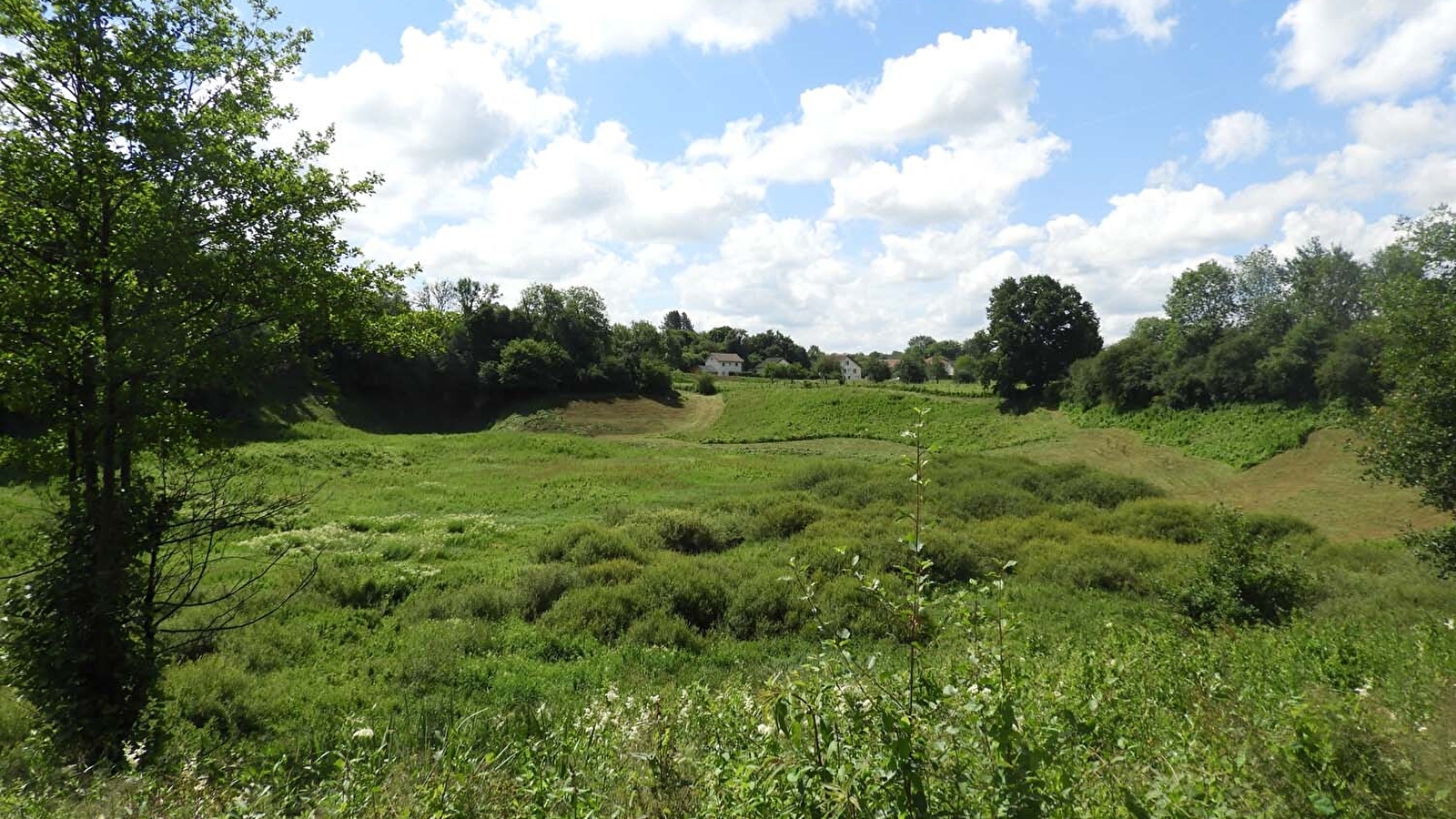 Boucle des milieux naturels du marais de Saône