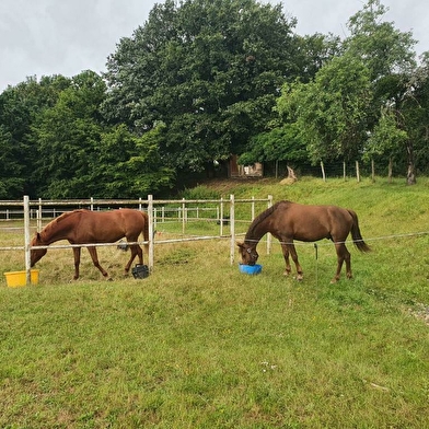 Ferme Equestre Gateau Stables : séjour linguistique-équitation et balades et leçons à poney et cheval