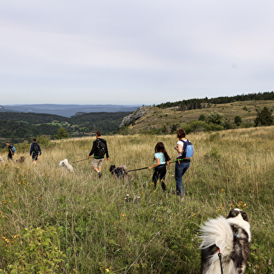La vallée des laïkas - kart, cani-trottinette et cani-rando