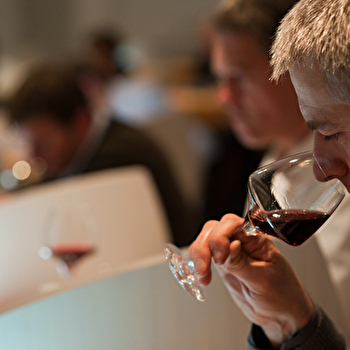 Journée dégustation des vins de Bourgogne  - BEAUNE
