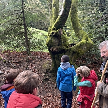 A l'assaut du Moussu ! Visite de la forêt du Beuvray réservée aux enfants.  - SAINT-LEGER-SOUS-BEUVRAY