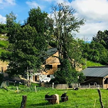 Gîte le Creux de Vennes - VENNES