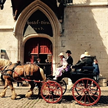 Attelage Beaune Passion - Balade 'Prestige' en calèche - BEAUNE