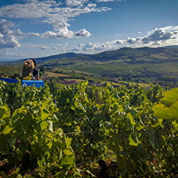 Domaine des Crais - LEYNES