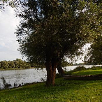 Autour de la Voie Verte - La Prairie du Val de Saône - Boucle 6.3 - BELLEVILLE-EN-BEAUJOLAIS