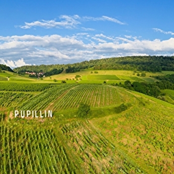 Circuit de Pupillin - 12N - ARBOIS