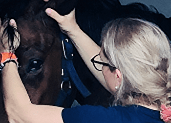 Julie Barioux - Massage cheval Cluny - CLUNY