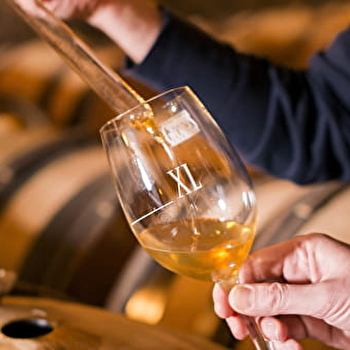 Dégustation privative au Château de Meursault - MEURSAULT