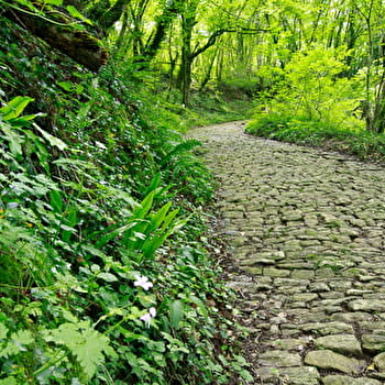 La voie romaine - MONTAGNA-LE-RECONDUIT