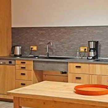 Le Moulin - LA PESSE