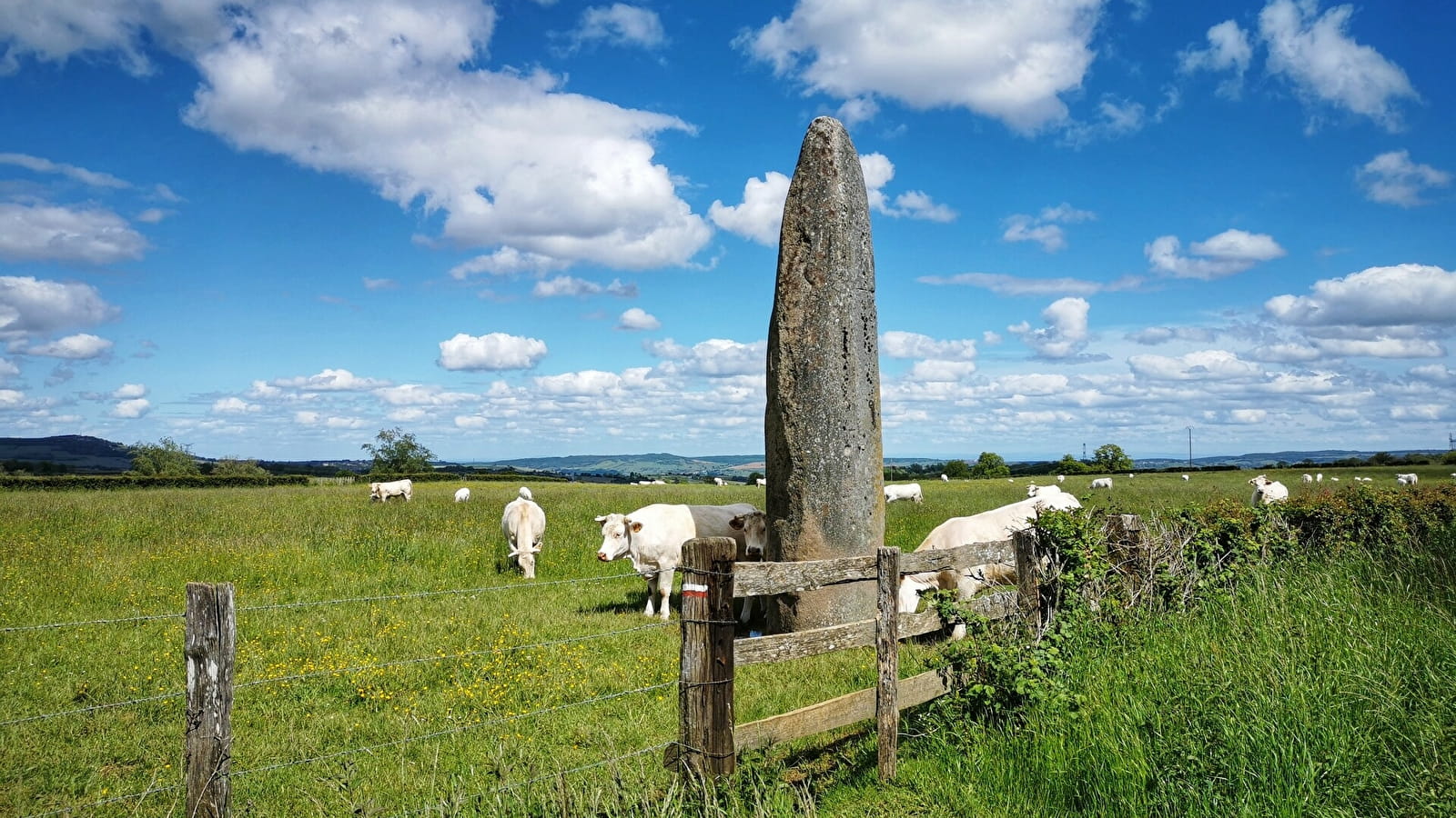 Menhirs d'Epoigny