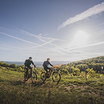 Circuit VTT n°21 (rouge) Vignoble du Revermont - Tour de Gravelles - CEYZERIAT