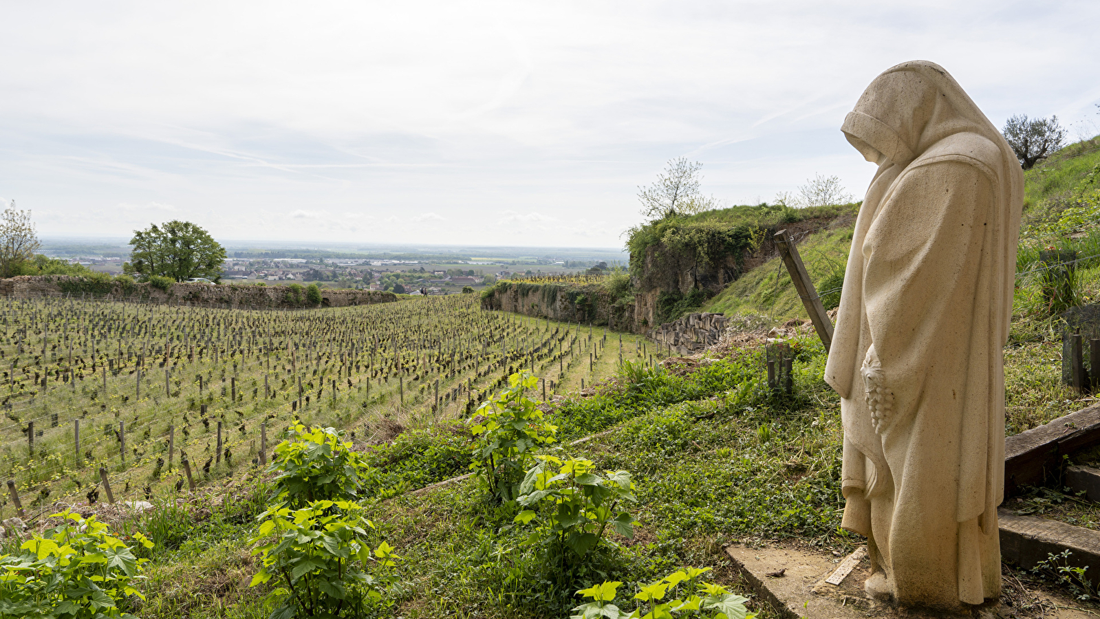 Mémoires de pierres