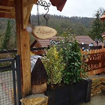 Les Hirondelles - LES PREMIERS SAPINS