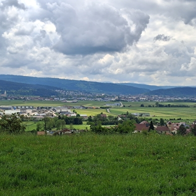 La Côte du Fol - n°106