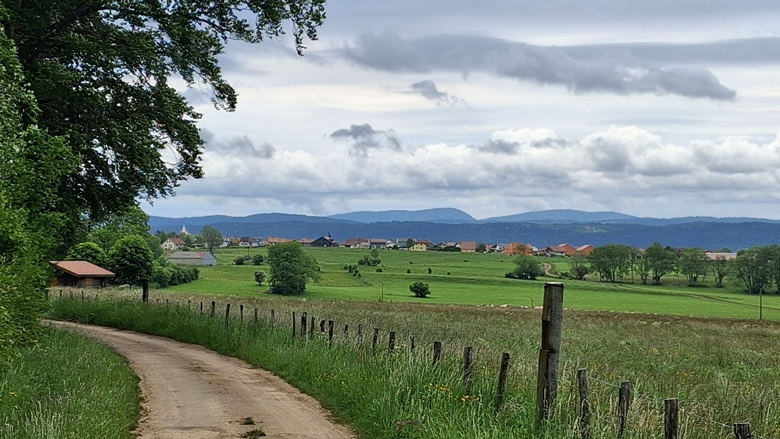 Le Grand-Bois - n° 111