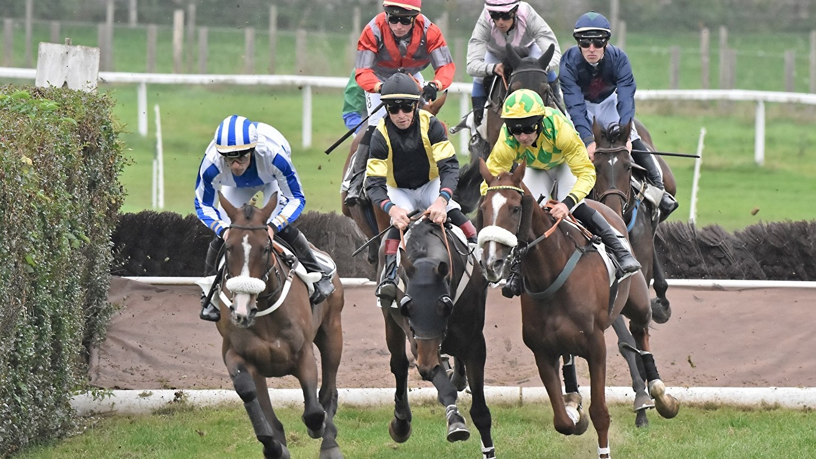 Courses hippiques - Tout galop semi-nocturne