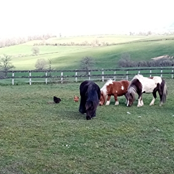 La petite ferme dans la montagne - ETANG-SUR-ARROUX