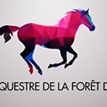 Centre équestre de la Forêt de Chaux - DOLE