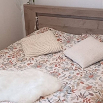 Gîte Le petit cocon - MONTBOZON