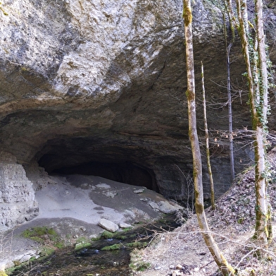Sentier Courbet 7 : L'école de la nature