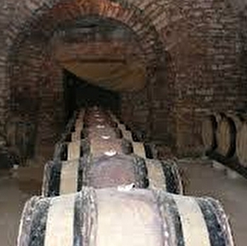 Domaine viticole de Motey-Besuche - MOTEY-BESUCHE