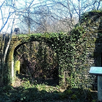 Circuit La Vallée du Raddon et ses Sources - SAINT-BRESSON