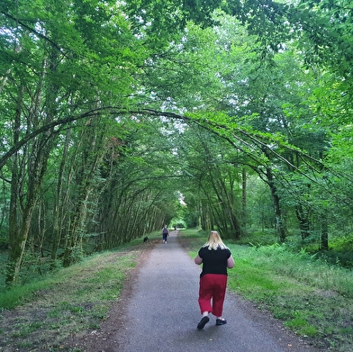 Decize - La Machine par l'étang Grénetier