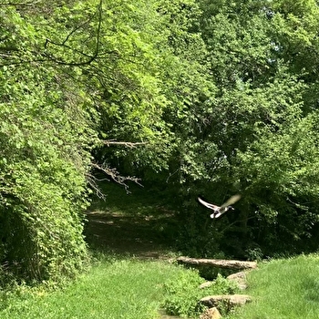 Aire de pique-nique de la source - SAINT-BOIL