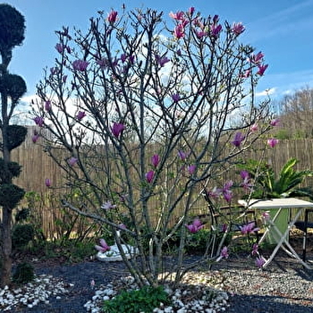 Gîte 'La douceur de vivre' - GILLY-SUR-LOIRE