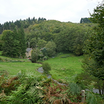 Le Terrier de Montvernot  - LAROCHEMILLAY