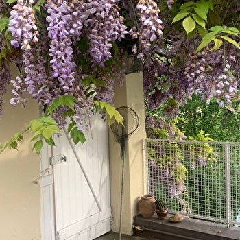 La maison des Glycines - VERDUN-CIEL