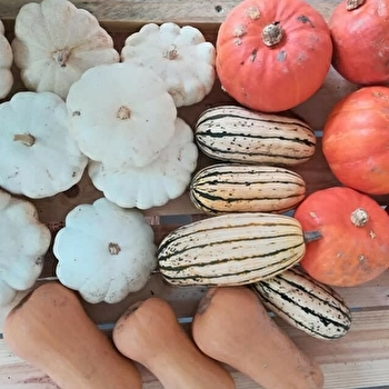 Les Jardins Charrinois - CHARRIN