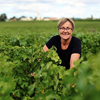 Domaine Serge Dagueneau et Filles - SAINT-ANDELAIN
