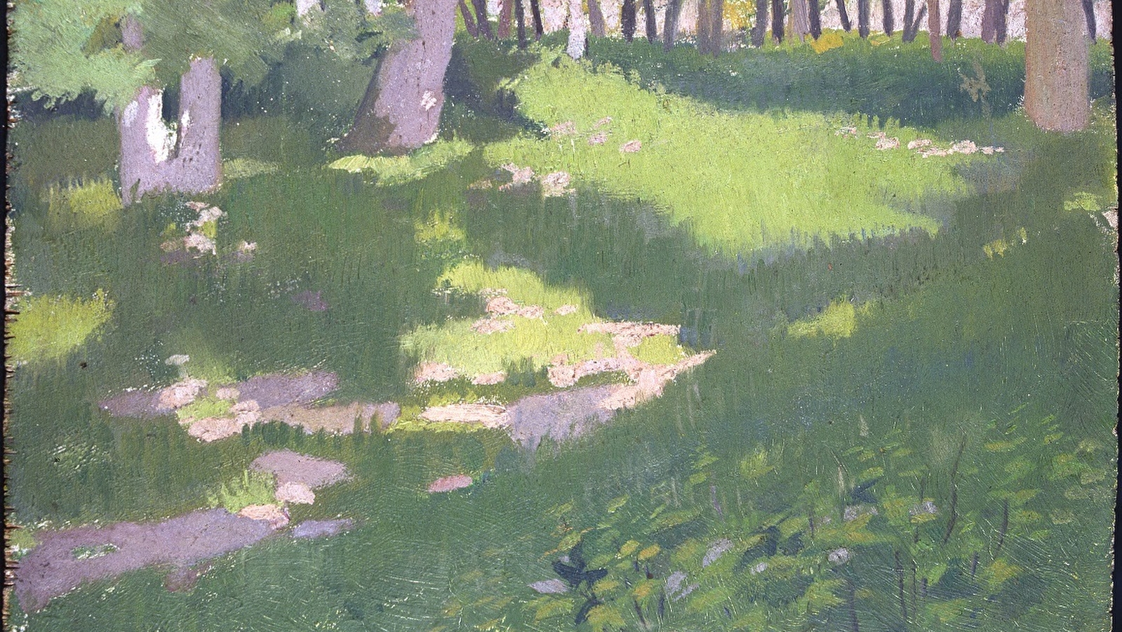 Les vacances des 4/6 ans -  L’éclat du printemps