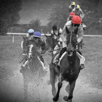 Courses hippiques - Tout galop