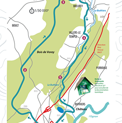 Des sous-bois à la rivière de l'Ognon